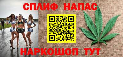СК Моздок