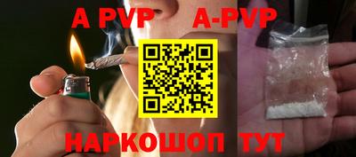 СК Моздок